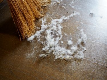 茶色い埃はなにでできている？皮膚、ふけ、あか、花粉、ダニやカビ？