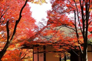 紅葉～全国紅葉名所ランキング20選：決定版！