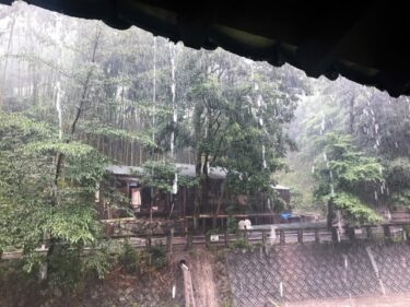 台風の仕組みと最新気象情報：備えと災害対策完全ガイド！